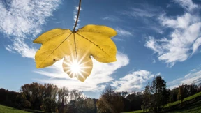 Wo man den Mantel gegen ein T-Shirt tauschen könnte