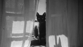 Vom Verschwinden einer Welt