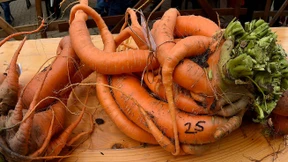 Supermarktkette verkauft Obst und Gemüse mit Macken