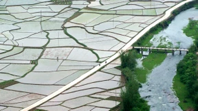 Plantagen und Äcker statt Tropenwald