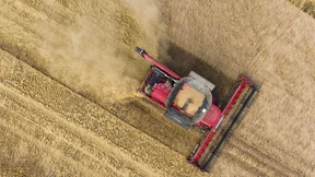 Getreidehandel überraschend wenig schädlich für die Umwelt