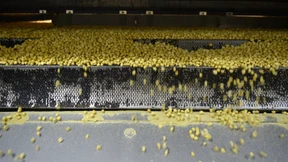 Der Ingenieur macht „knack“