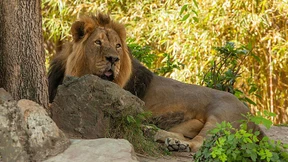 „Der Zoo ist gut aufgestellt“