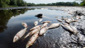 Klimawandel könnte Deutschland bis 2050 bis zu 900 Milliarden Euro kosten
