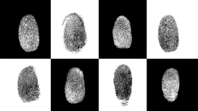 Grenzen des Datenschutzes