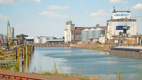 Mainhäfen leiden unter Niedrigwasser im Rhein