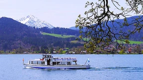 Die Schuld der Achtundsechziger an der Kopftuchinvasion