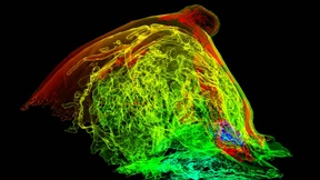 Werkzeugmacher der Krebsmedizin