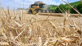 Klimawandel verursacht jährlich Milliardenkosten