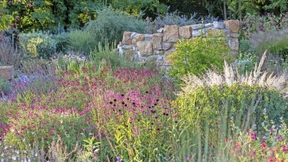 Der perfekte Begleiter