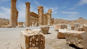 Seltene Seide des Pfauenspinners