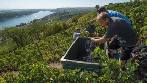 Die besten Weine 2018