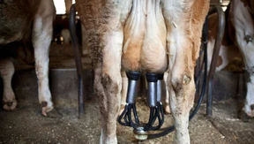 Rente muss sich wieder lohnen