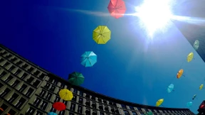 Hochsommer, Hitze und Waldbrände