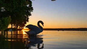 Dem Klima wurde kaum geholfen