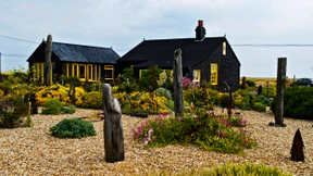 Der Garten als Therapie