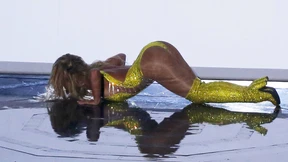 Das Zirkuspony trägt Korsett