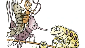 Gleichgewicht des Schreckens