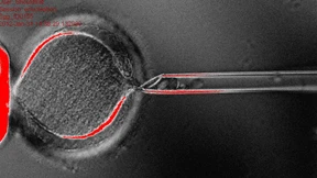 Geht nicht gibt’s nicht mehr