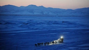 Das härteste Hundeschlitten-Rennen