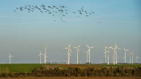 Habeck erwägt Staatsgarantie für Ökostrom-Projekte