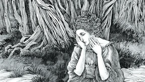 Ein Prachtexemplar von Frosch