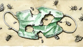 Virokratie im Rechtsstaat