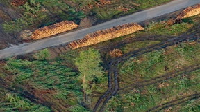 Spatenstich für Tesla-Fabrik ist für März geplant