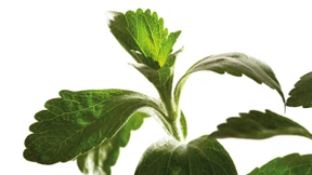 Zuckersüß, dieser Badezusatz