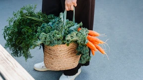 So gesund ist Grünkohl wirklich
