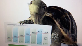 Dreißigjahresrendite erstmals unter Null