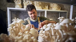 „Es ist eine Art Kommunikation mit dem Pilz“