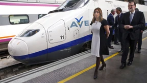 Prestigeprojekt und Problemfall