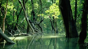 Für den Untergang der Natur ist viel Geld da