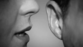 Sie werden nicht glauben, was ich gehört habe