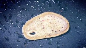 Veganes Steak aus dem 3-D-Drucker