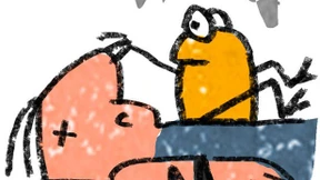 Giftige Frösche in der Stube