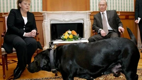 Warum Putin nun ein Problem hat