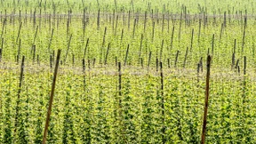 Konzentration mit Wucht