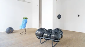 Äpfel, Pilze, Keime