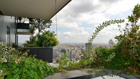 Wir bauen unsere Wälder selber