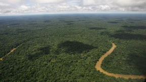 Ecuador verweigert deutschen Abgeordneten die Einreise