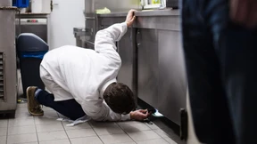 „Eine Eiswürfelschaufel wurde in unmittelbarer Nähe zur toten Ratte gelagert“