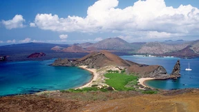 Kreuzfahrten für Veganer