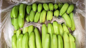 Tafel-Mitarbeiter finden rund 14 Kilo Kokain in Bananenkisten