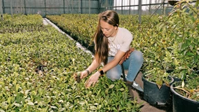 „Wir dachten schon, jetzt müssen wir Reis anbauen“