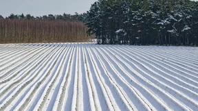 Kommt jetzt der Frühling?