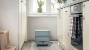 Klimaneutral kompostieren mit Würmern – funktioniert das?