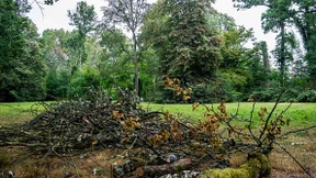 Hitze macht Wert des Wassers klar