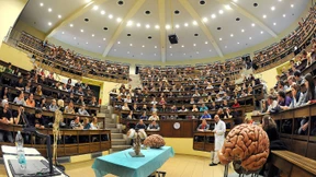 Weite Wege zum Medizinstudium